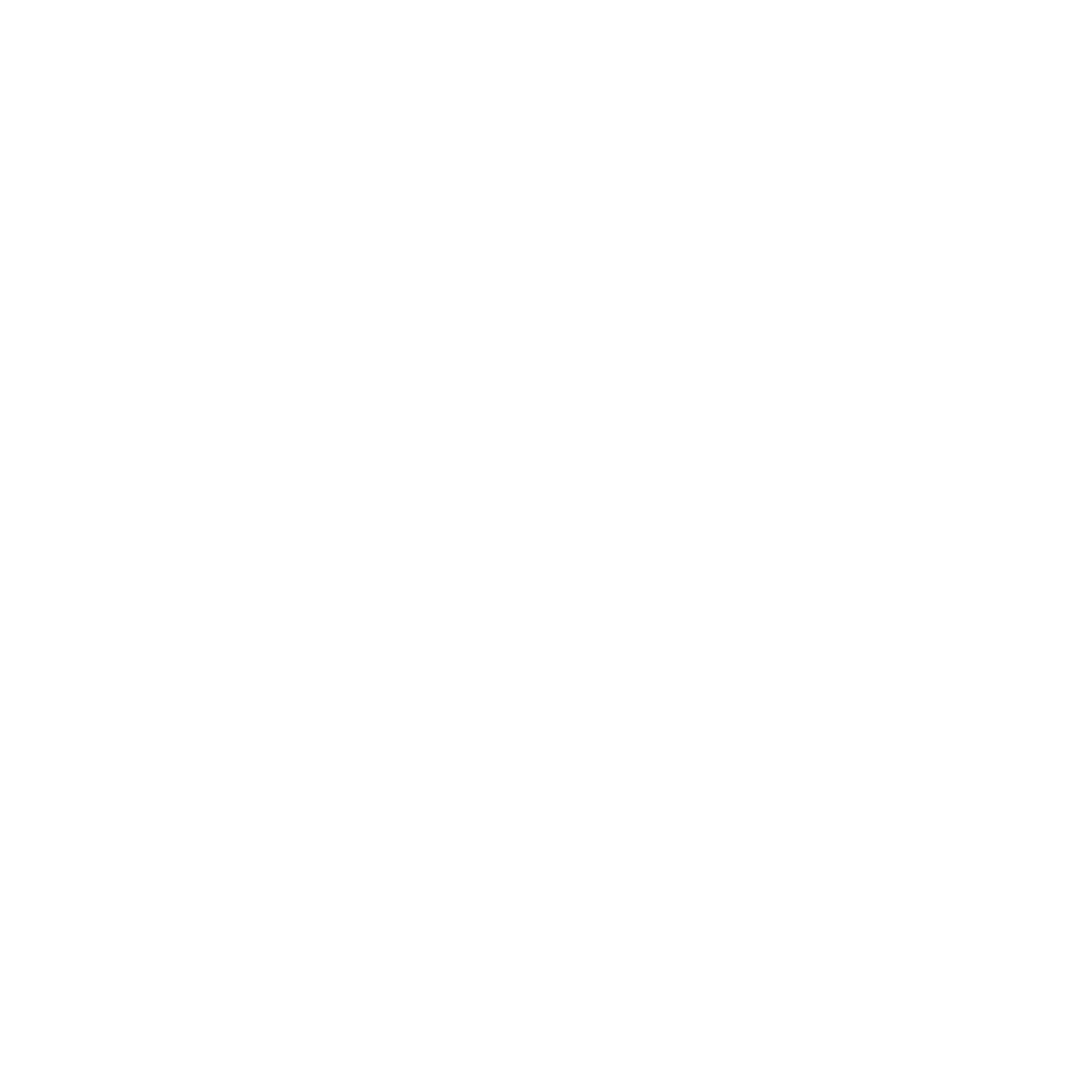 Aura Sabana Store